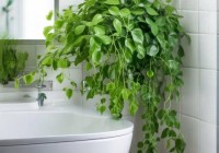 智能马桶异味惊现，揭秘解决方法