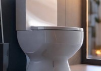 智能马桶喷头储水盒：告别清洁烦恼，享受便捷生活