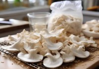 银耳无冰箱冷藏保存法攻略